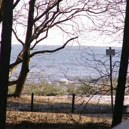 Duenenblume - * بابي