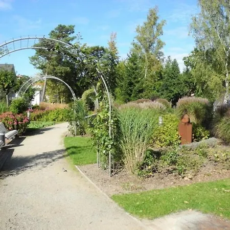 Dünenblume - * Baabe