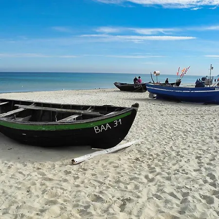 Dünenblume - * Baabe